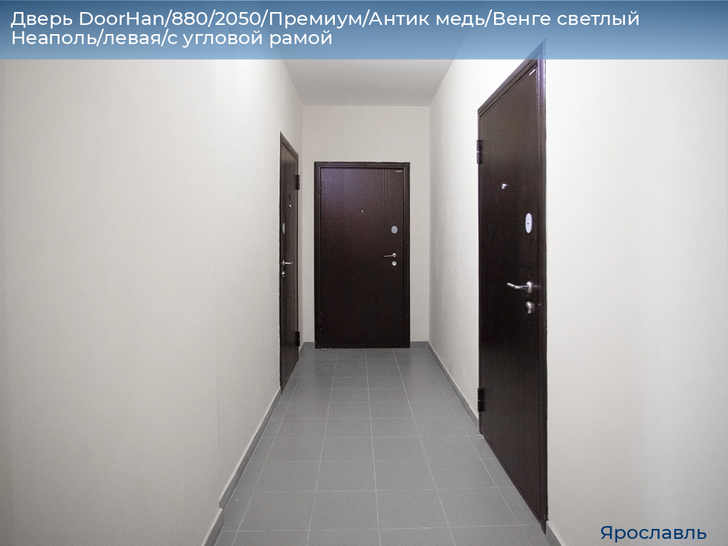 Дверь DoorHan/880/2050/Премиум/Антик медь/Венге светлый Неаполь/левая/с угловой рамой, yaroslavl.doorhan.ru
